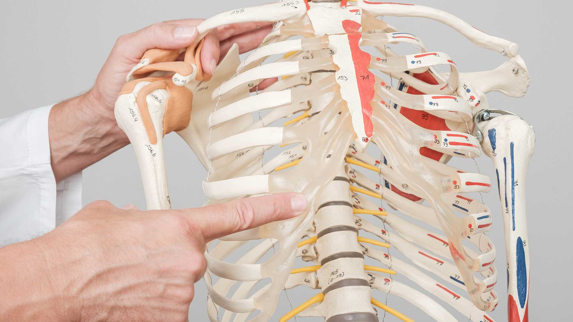 Metaboličke i endokrine bolesti Metabolicke-i-endokrilne-bolest