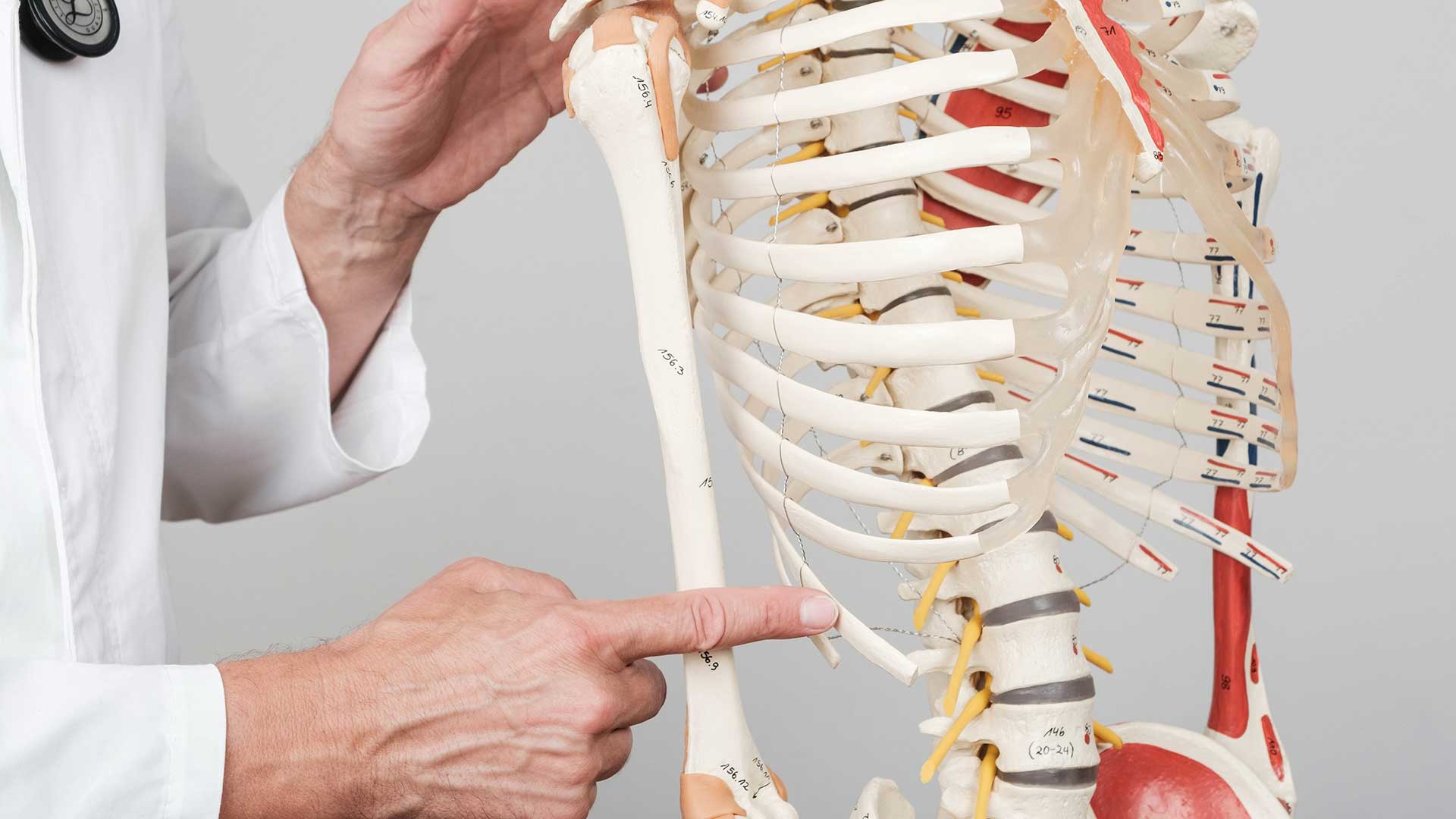 Nasljedne i urodene bolesti kostiju i zglobova
