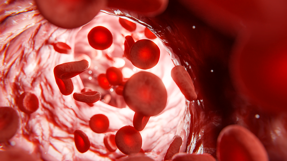 hematologija