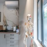 Ordinacija s anatomskim modelom kostura u Poliklinici Faktor Zdravlje